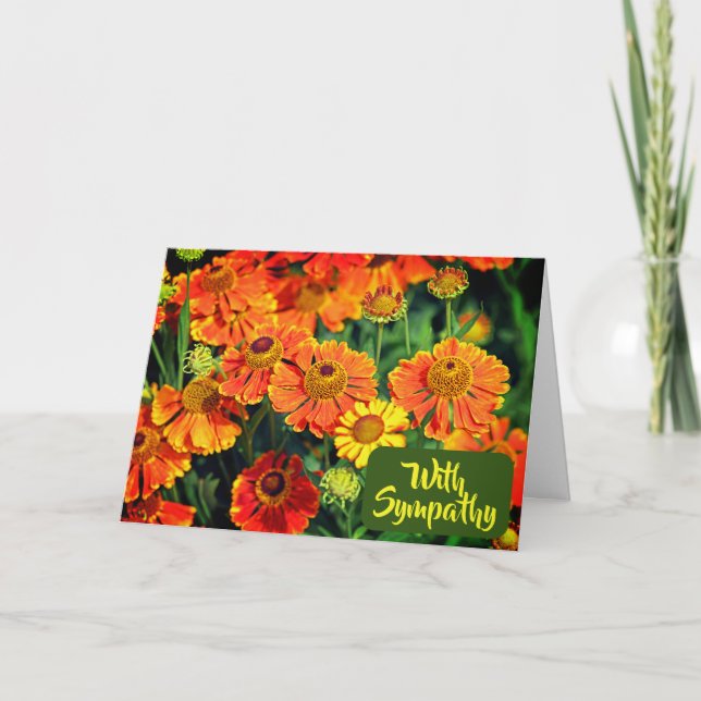 Tarjeta Naranja Flores De Sneezewort Foto Con Satisfacción (Anverso)