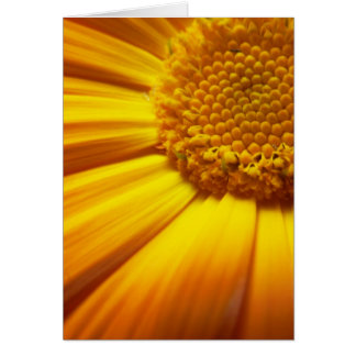 Tarjeta Naranja fresca