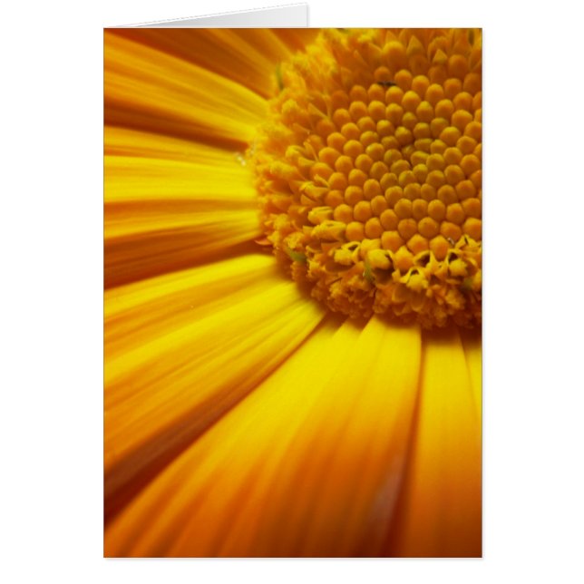 Tarjeta Naranja fresca (Frente)