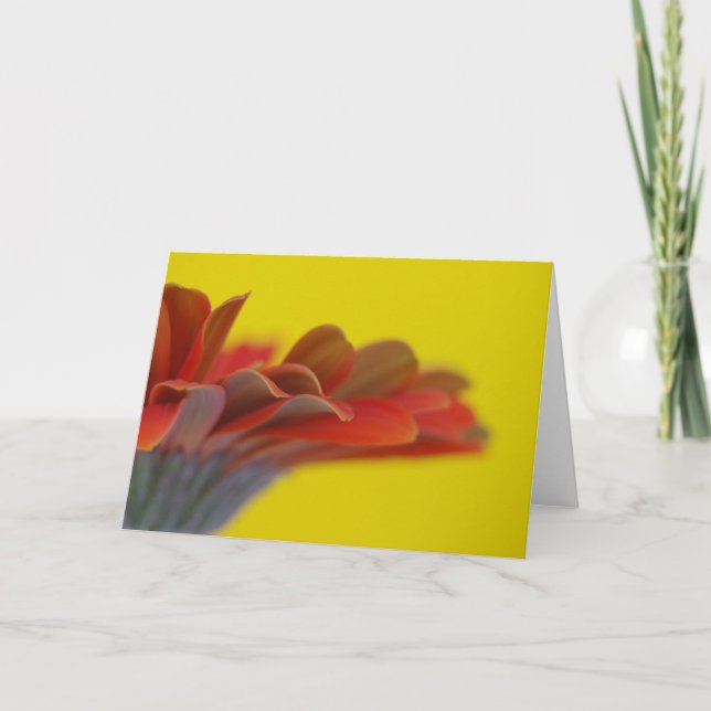 Tarjeta naranja Gerbera Daisy (Anverso)