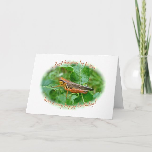 Tarjeta Naranja Grasshopper Cumpleaños (Anverso)