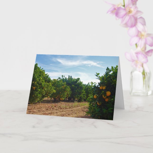 Tarjeta Naranja Grove (Orquídea)