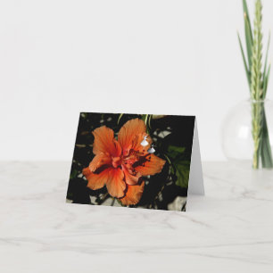 Tarjeta Naranja Hibiscus Shadow Fairy