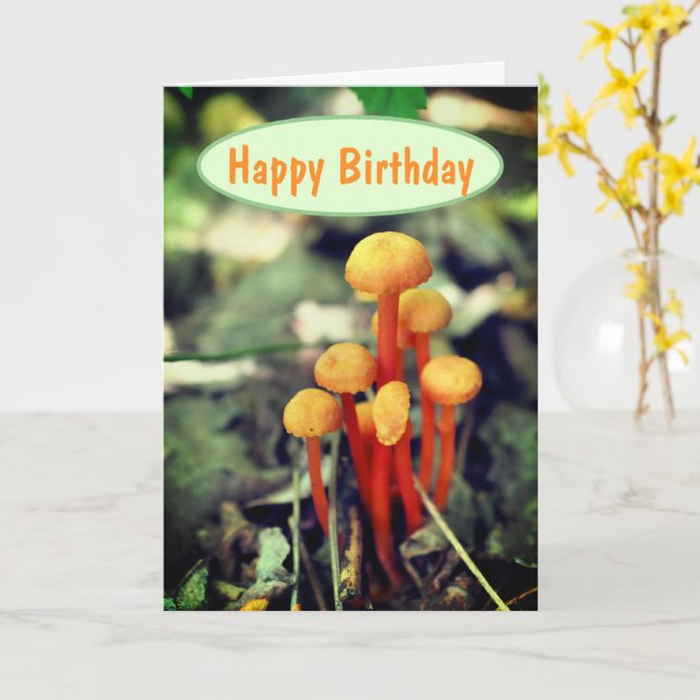 Tarjeta Naranja Hongos Naturaleza Cumpleaños (flor amarilla)