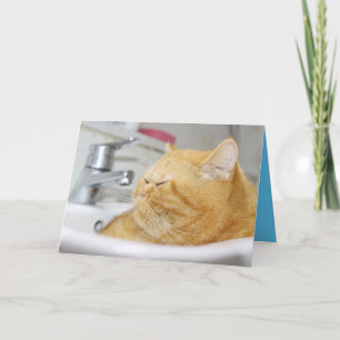 Tarjeta Naranja Kitty Cat Cute Personalizable Card
