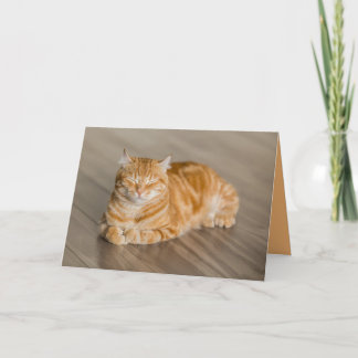 Tarjeta Naranja Kitty Cat Cute Personalizable Card
