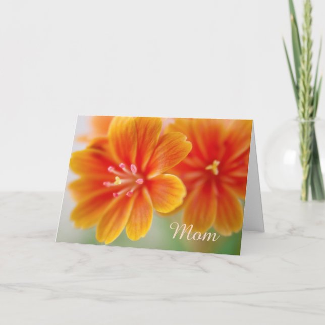 Tarjeta Naranja Lewisia Día de la Madre floral (Anverso)