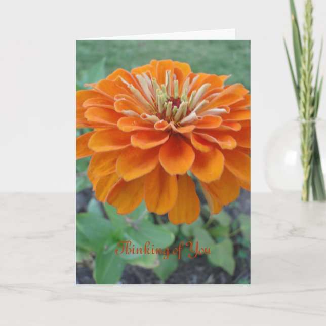 Tarjeta Naranja Marigold/Thinking of You (Anverso)