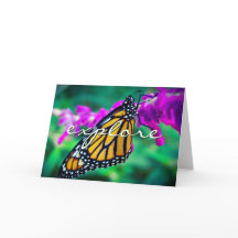 Naranja Monarch Mariposa Explorar Script Moderno