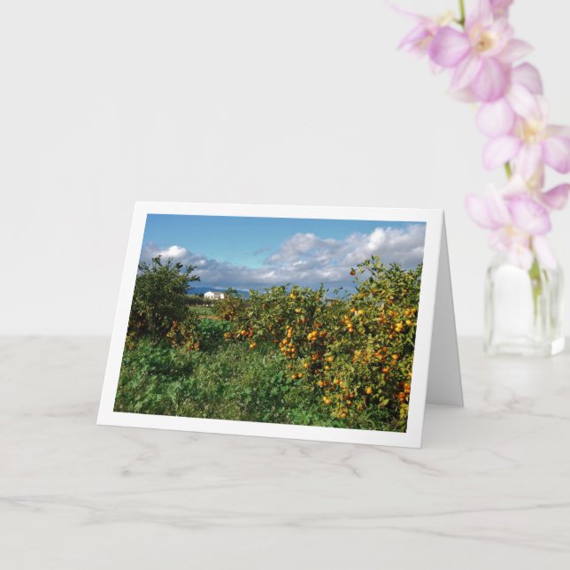 Tarjeta Naranja Orchard, Valencia (España) (Orquídea)