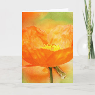 Tarjeta Naranja Poppy