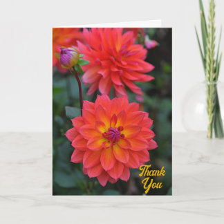 Tarjeta Naranja, Rojo, Flor De Dahlia Amarilla Gracias