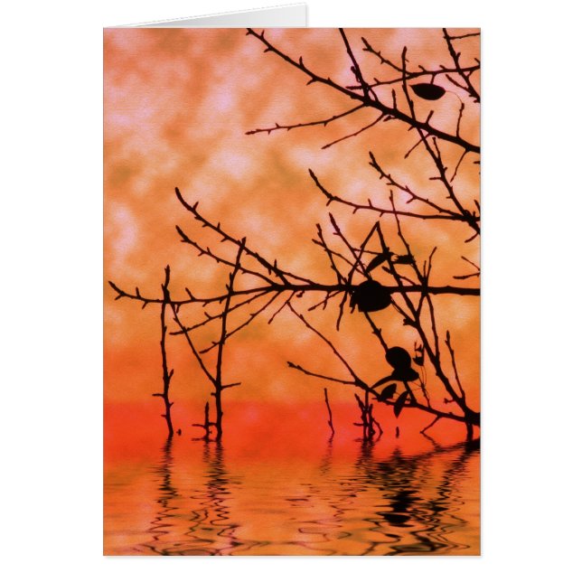 Tarjeta naranja Squasun (Frente)