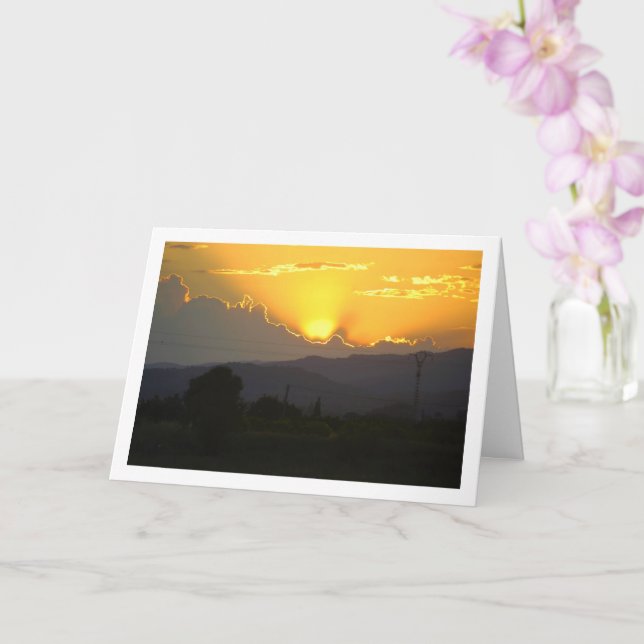 Tarjeta Naranja Sunset en Valencia España (Orquídea)