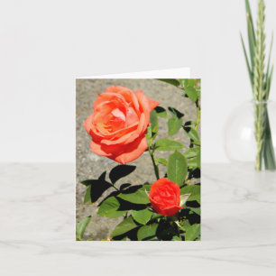 Tarjeta Naranja Sunshine....