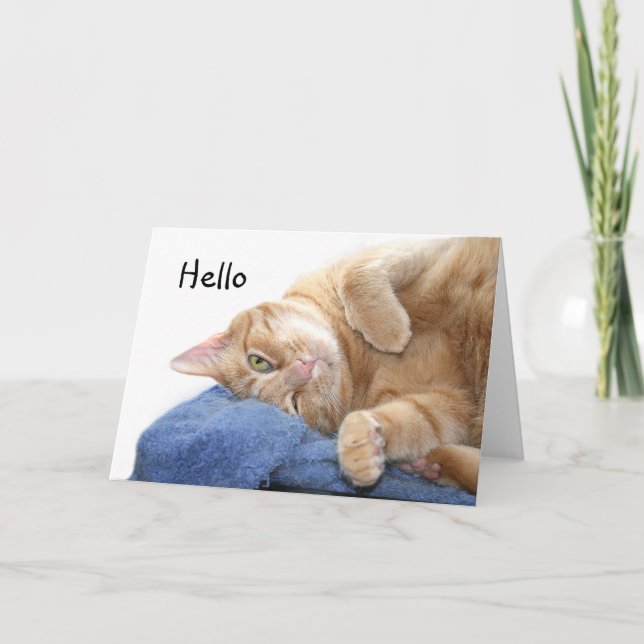 Tarjeta Naranja tabby cat (Anverso)