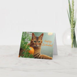 Tarjeta Naranja Tabby Cat