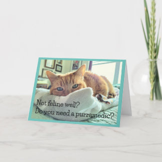 Tarjeta Naranja Tabby Cat con buenos deseos