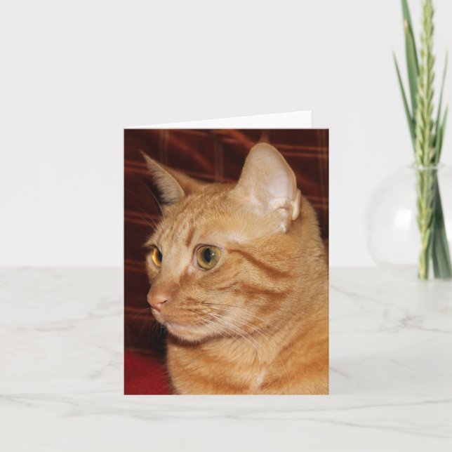 Tarjeta Naranja Tabby Cat Face Profile (Anverso)