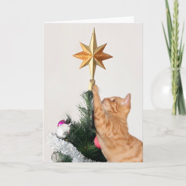 Tarjeta Naranja travieso Tabby Navidades (Anverso)