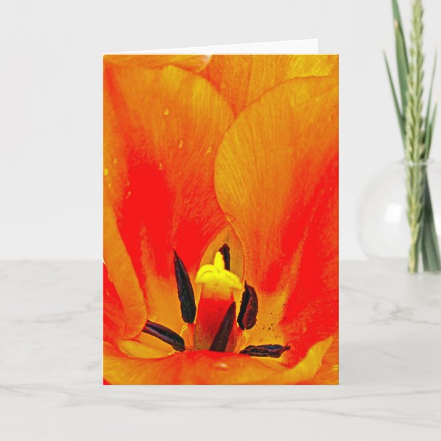 Tarjeta Naranja Tulip (Anverso)