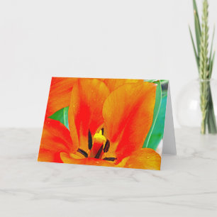 Tarjeta Naranja Tulip