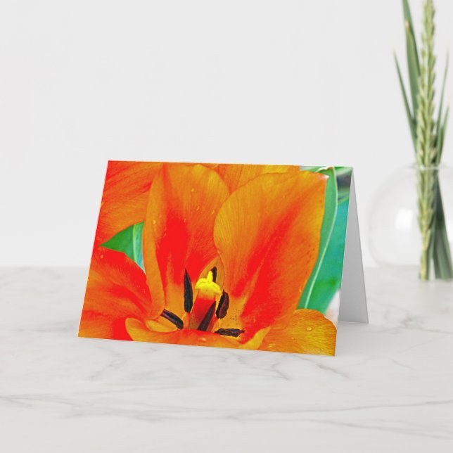 Tarjeta Naranja Tulip (Anverso)