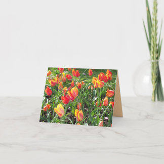 Tarjeta Naranja Tulips Pensando en ti