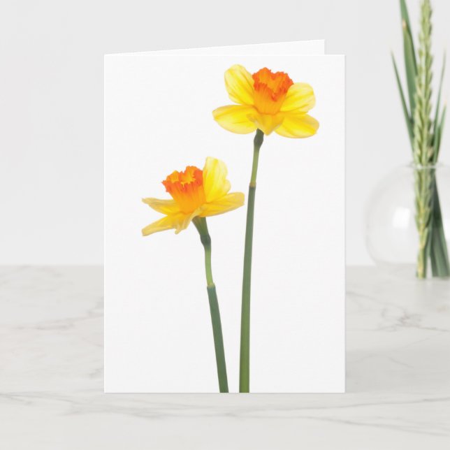 Tarjeta Naranja y amarillo Jonquil Daffodils (Anverso)