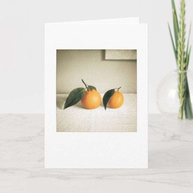 Tarjeta Naranjas del patio trasero: Saludo en blanco de po (Anverso)