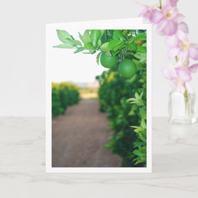 Tarjeta Naranjas verdes en retrato de árbol (Orquídea)