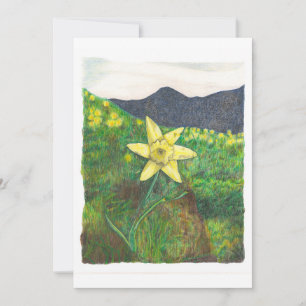 Tarjeta Narciso
