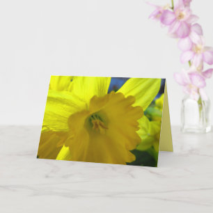 Tarjeta Narciso de flores de primavera Amaryllis Amarillo