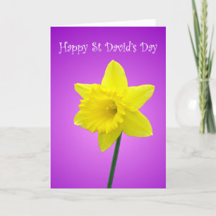 Tarjeta Narciso Galés del día del St Davids