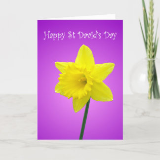 Tarjeta Narciso Galés del día del St Davids