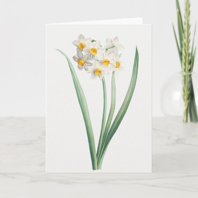 Tarjeta Narciso, Pierre-Joseph Redouté, 1805 (Anverso)