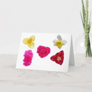 Tarjeta Narciso, Tulipanes y Rosas