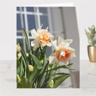 Tarjeta Narcisos delicados y lindos de primavera