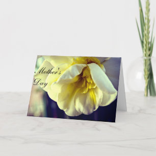 Tarjeta Narcissus Daffodil Día de la Madre
