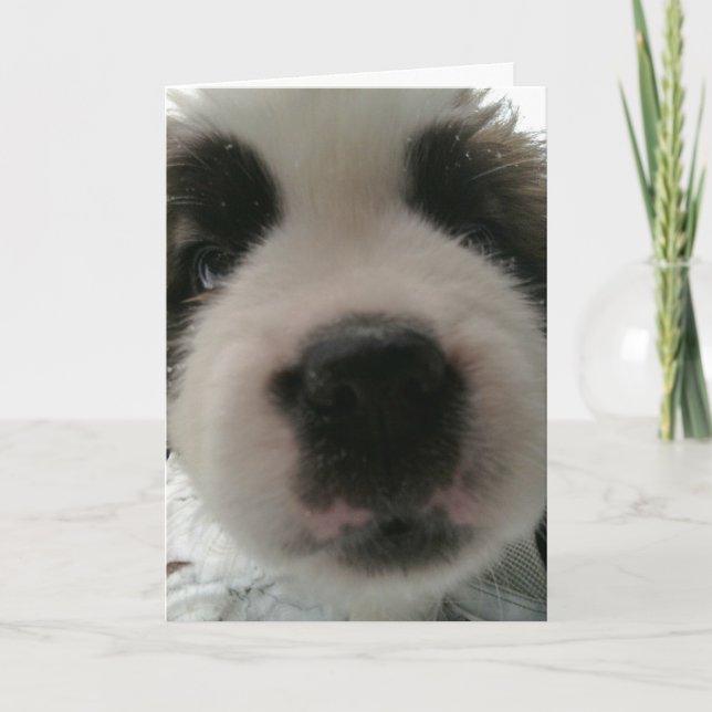 Tarjeta Nariz de Cachorro Divertida (Anverso)