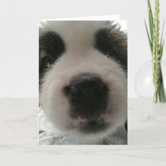 Tarjeta Nariz de Cachorro Divertida