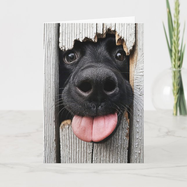 Tarjeta Nariz de perro de cumpleaños humorística (Anverso)
