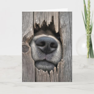 Tarjeta Nariz de perro de cumpleaños humorística