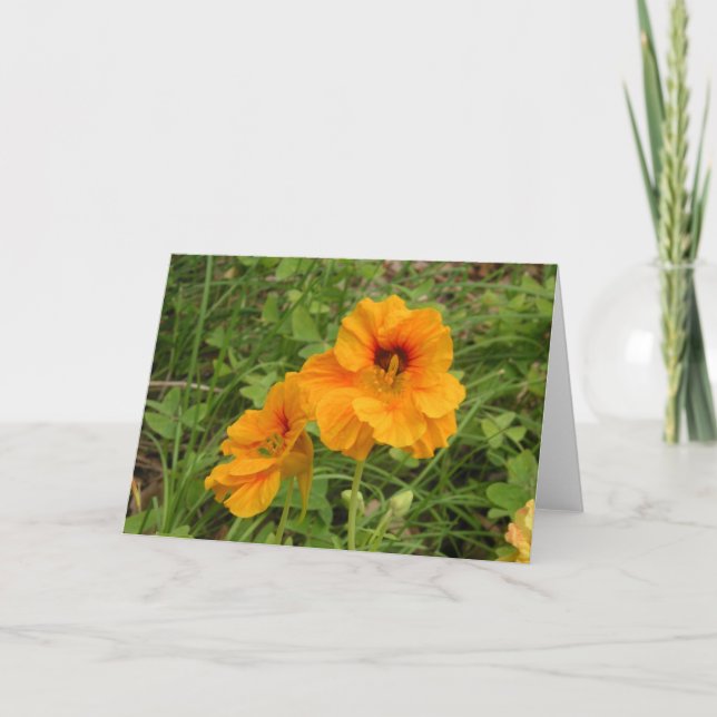Tarjeta Nasturtio (Anverso)