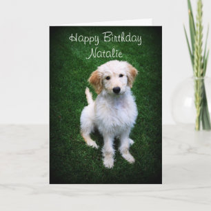 Tarjeta Natalie Feliz cumpleaños, Golden Doodle Puppy