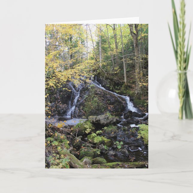 Tarjeta Naturaleza (Anverso)