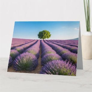 Tarjeta Naturaleza de Lavanda Paisaje al aire libre Tranqu