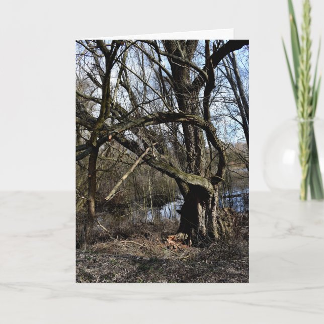 Tarjeta Naturaleza de los fondos marinos (Anverso)