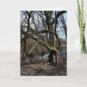 Tarjeta Naturaleza de los fondos marinos