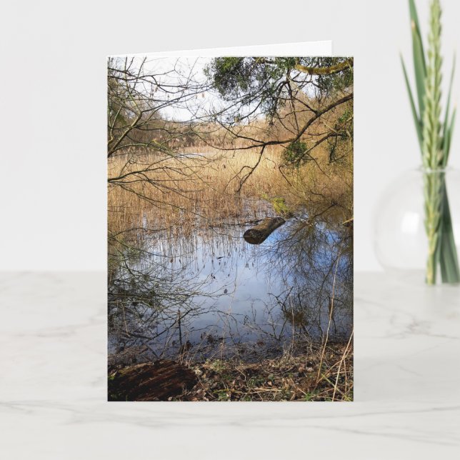 Tarjeta Naturaleza de los fondos marinos (Anverso)